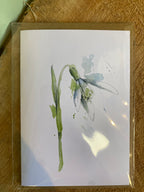 Greeting Card - Leah Ingram