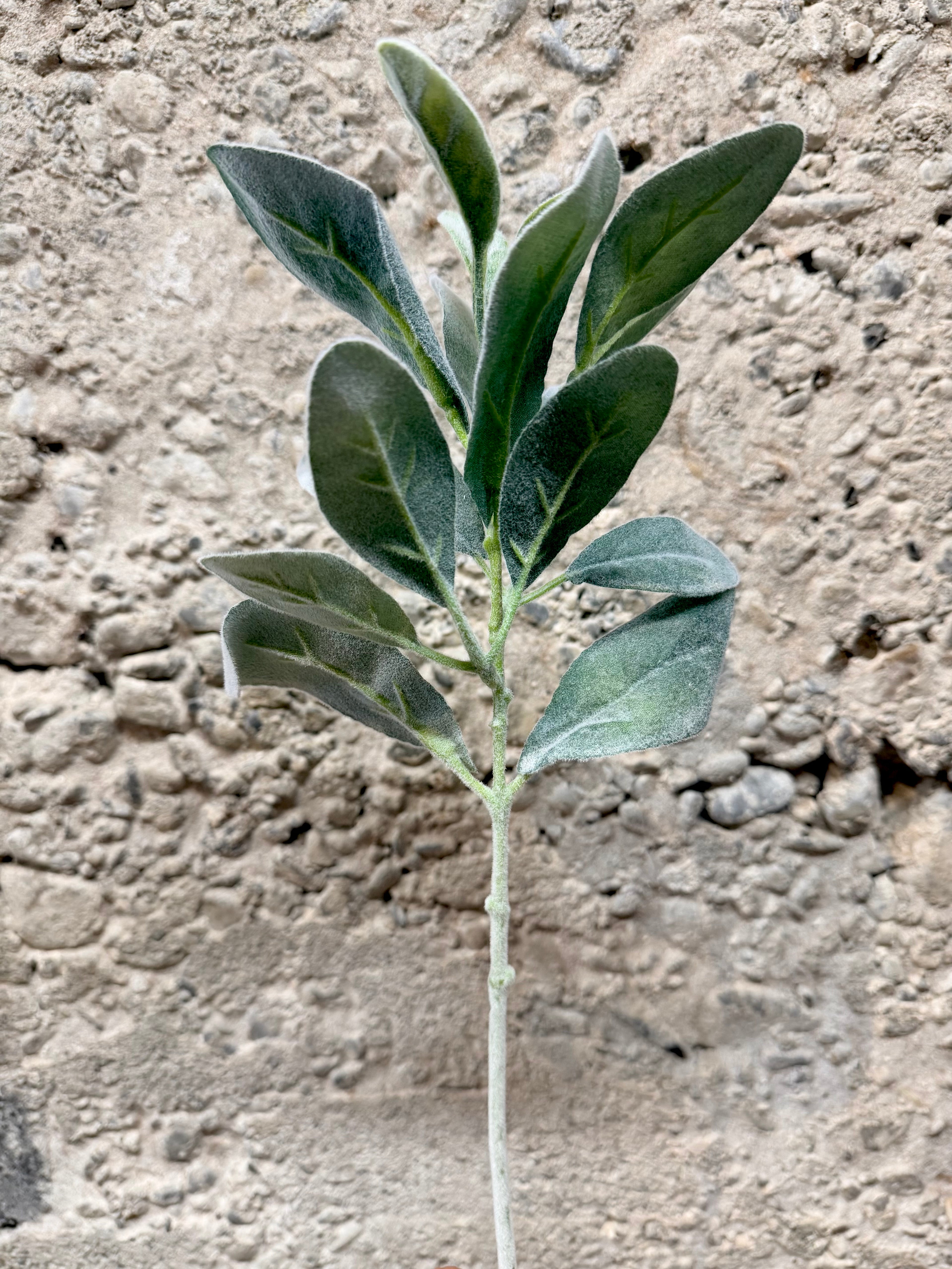 Lambs Ear - artificial