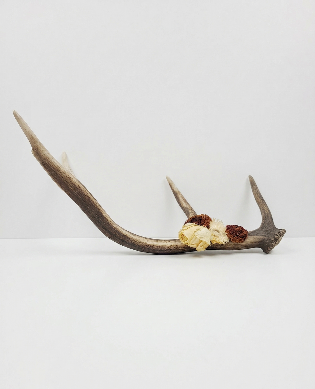 Antler Floral