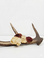 Antler Floral