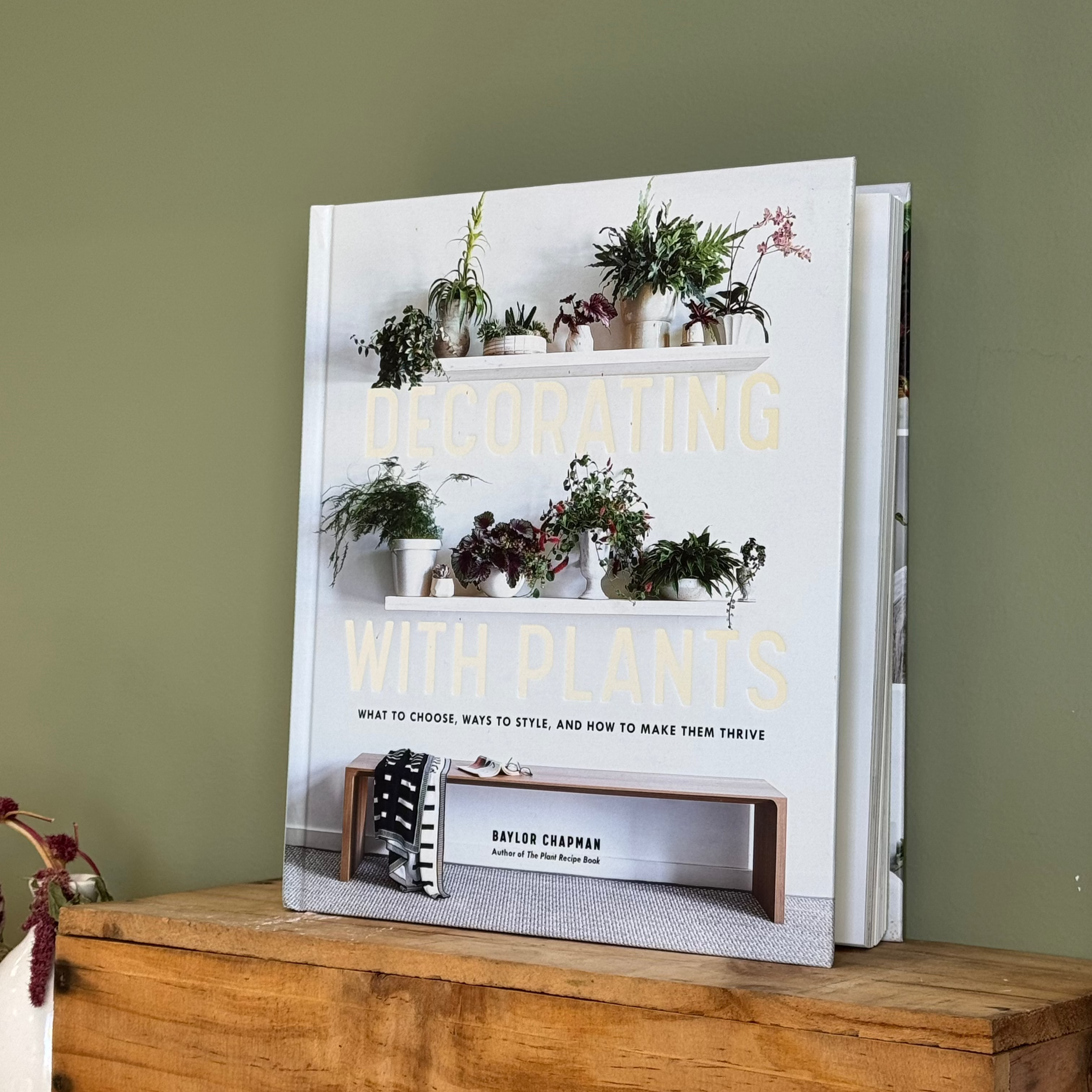 Decorating with Plants by Baylor Chapman