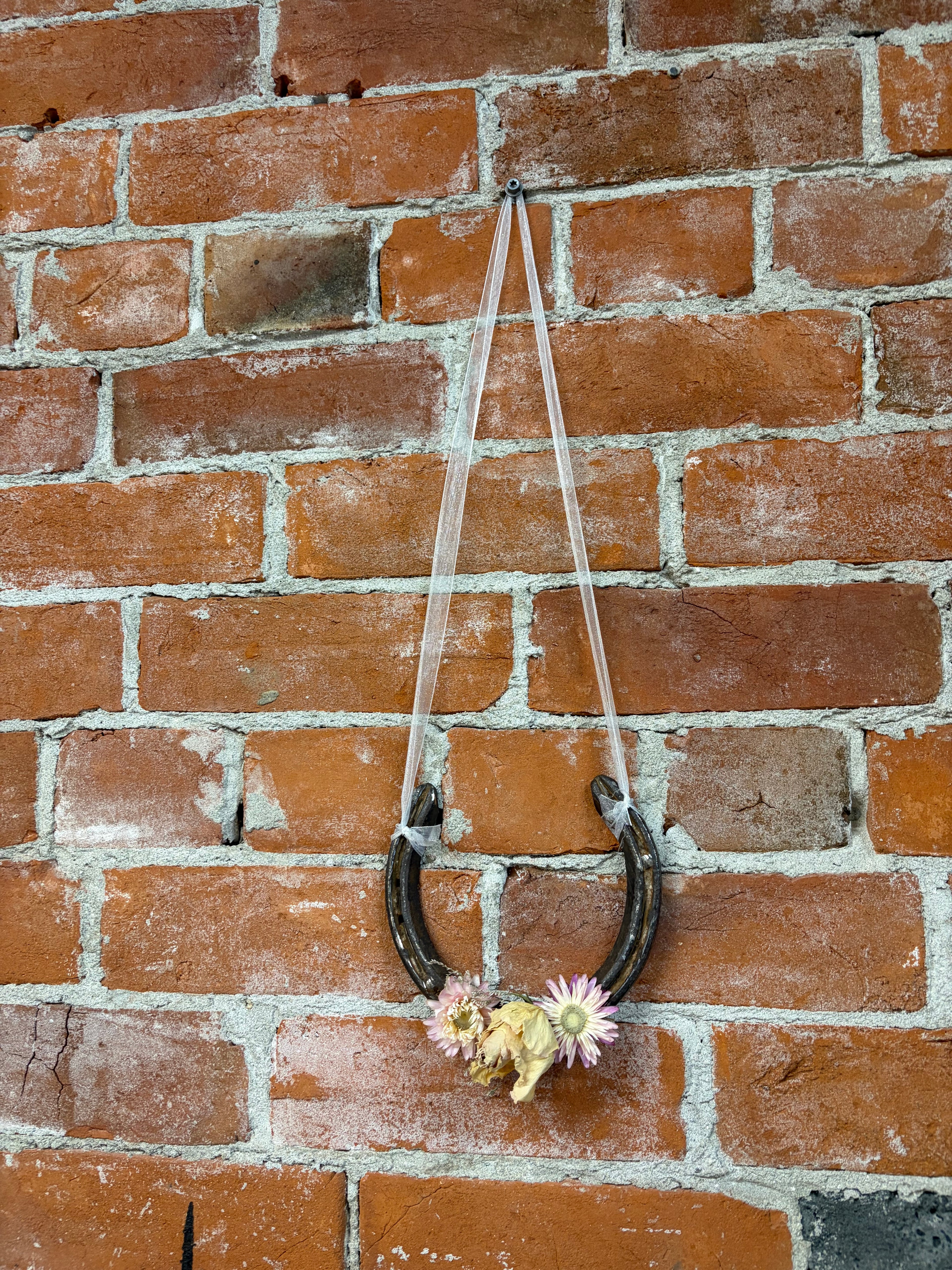 Wedding horse shoe